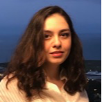 zulfiyar