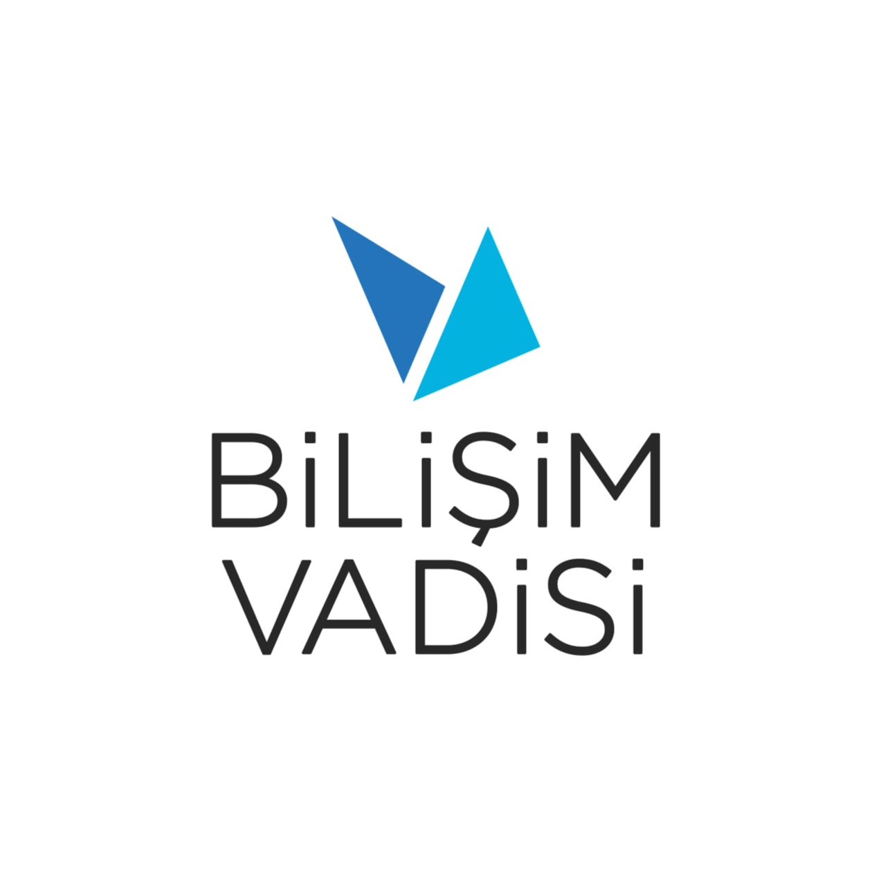 Bilişim Vadisi