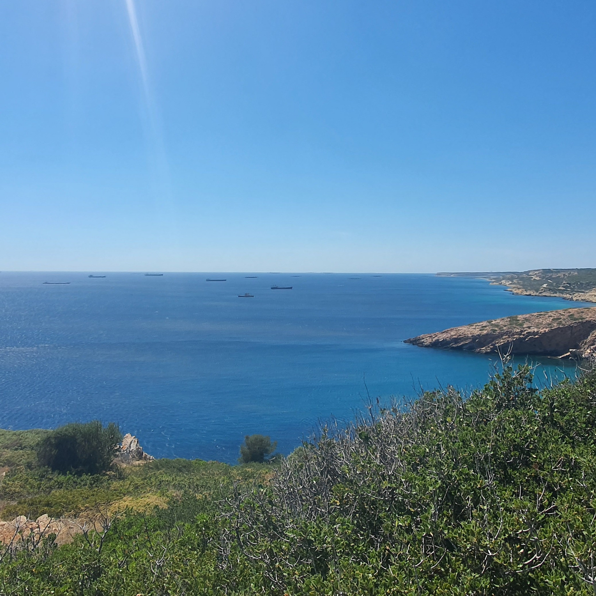 zeynepengin1