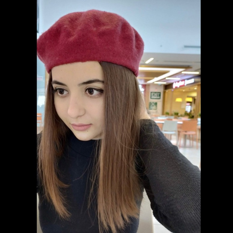 elifecemaydinli