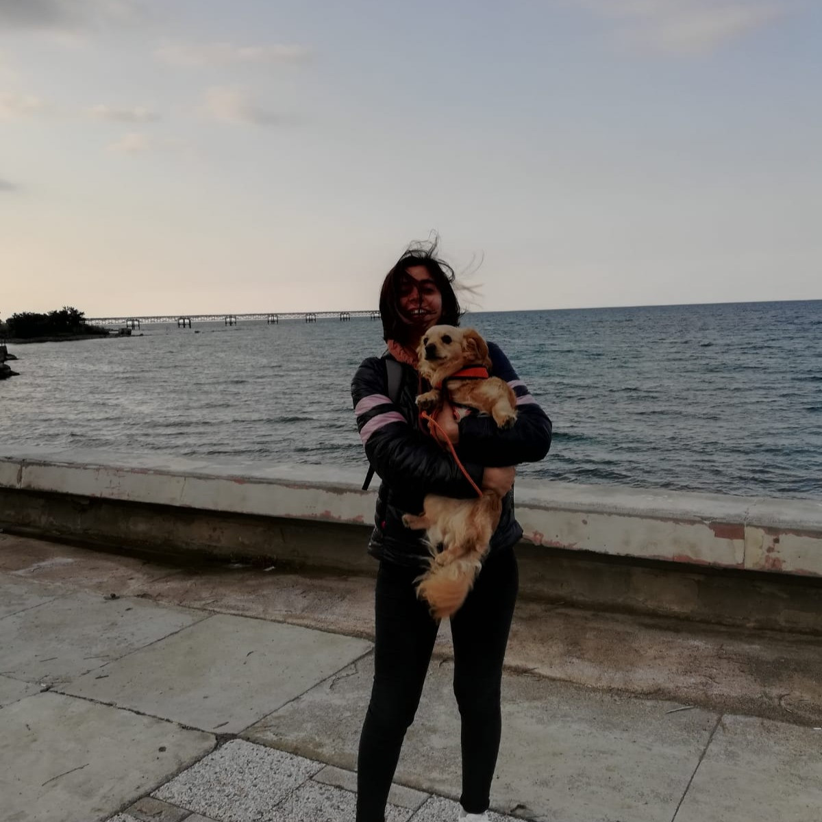 adilecetinkaya
