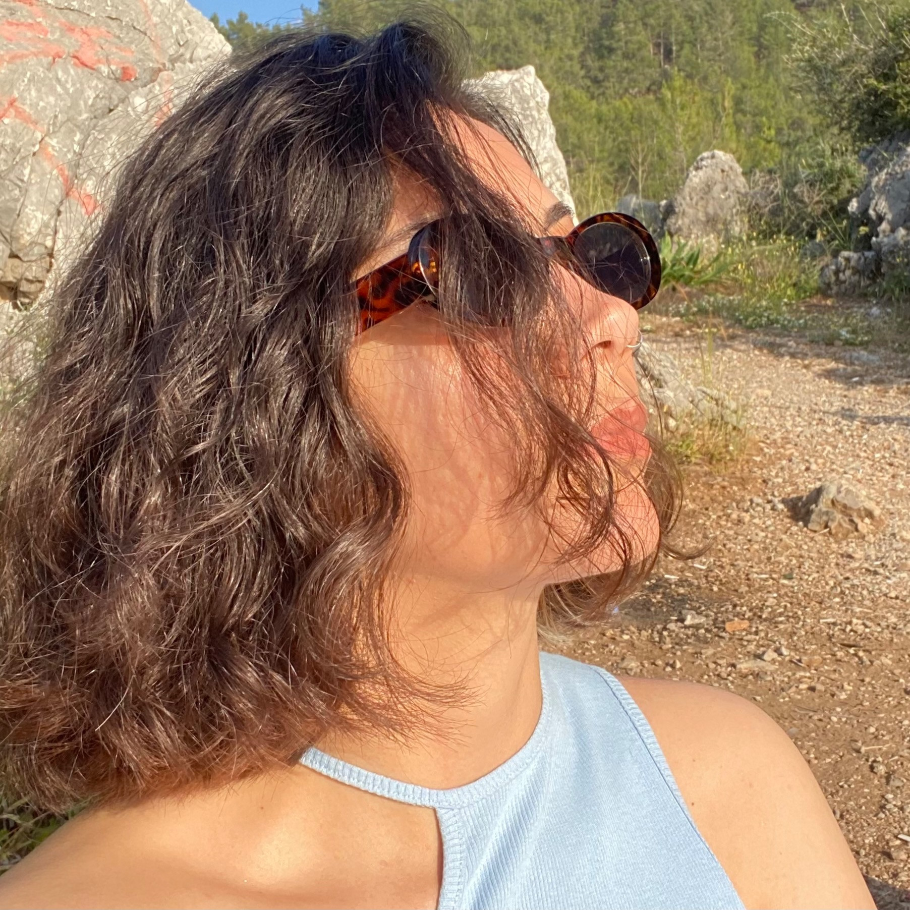 alevyildirim