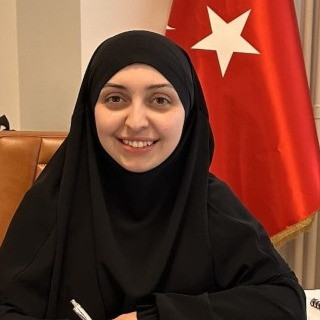 ayseipek1