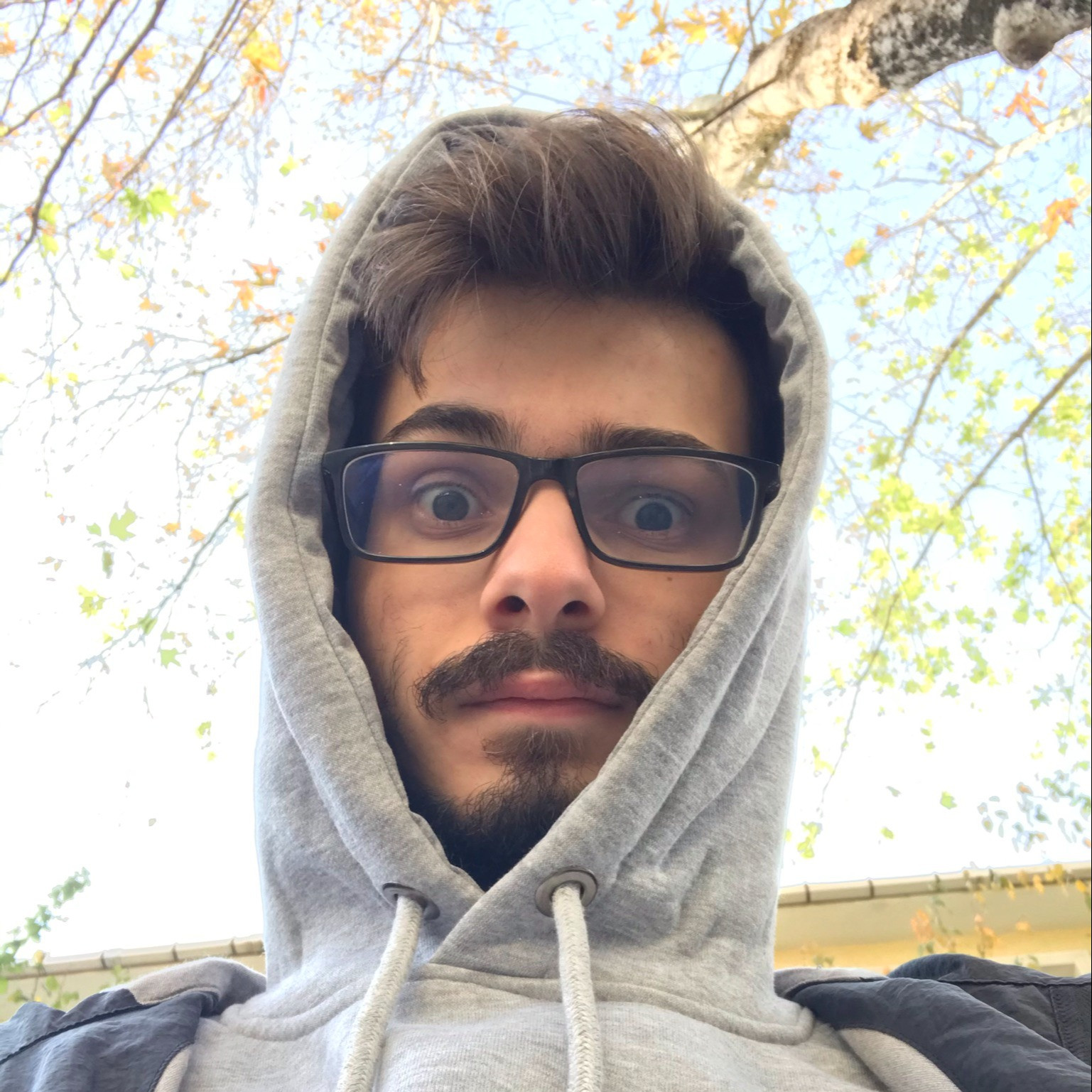 mehmedyesir