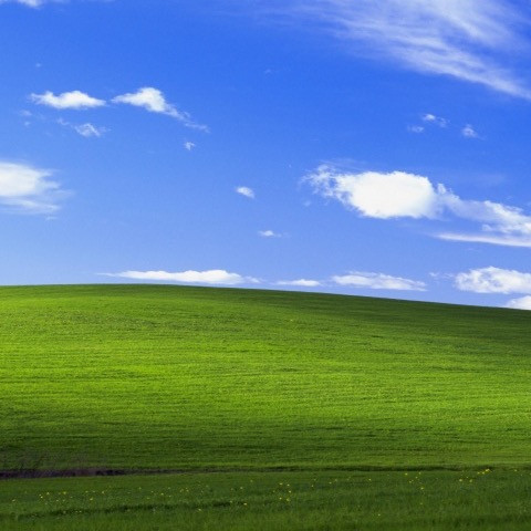 ezgikinaci