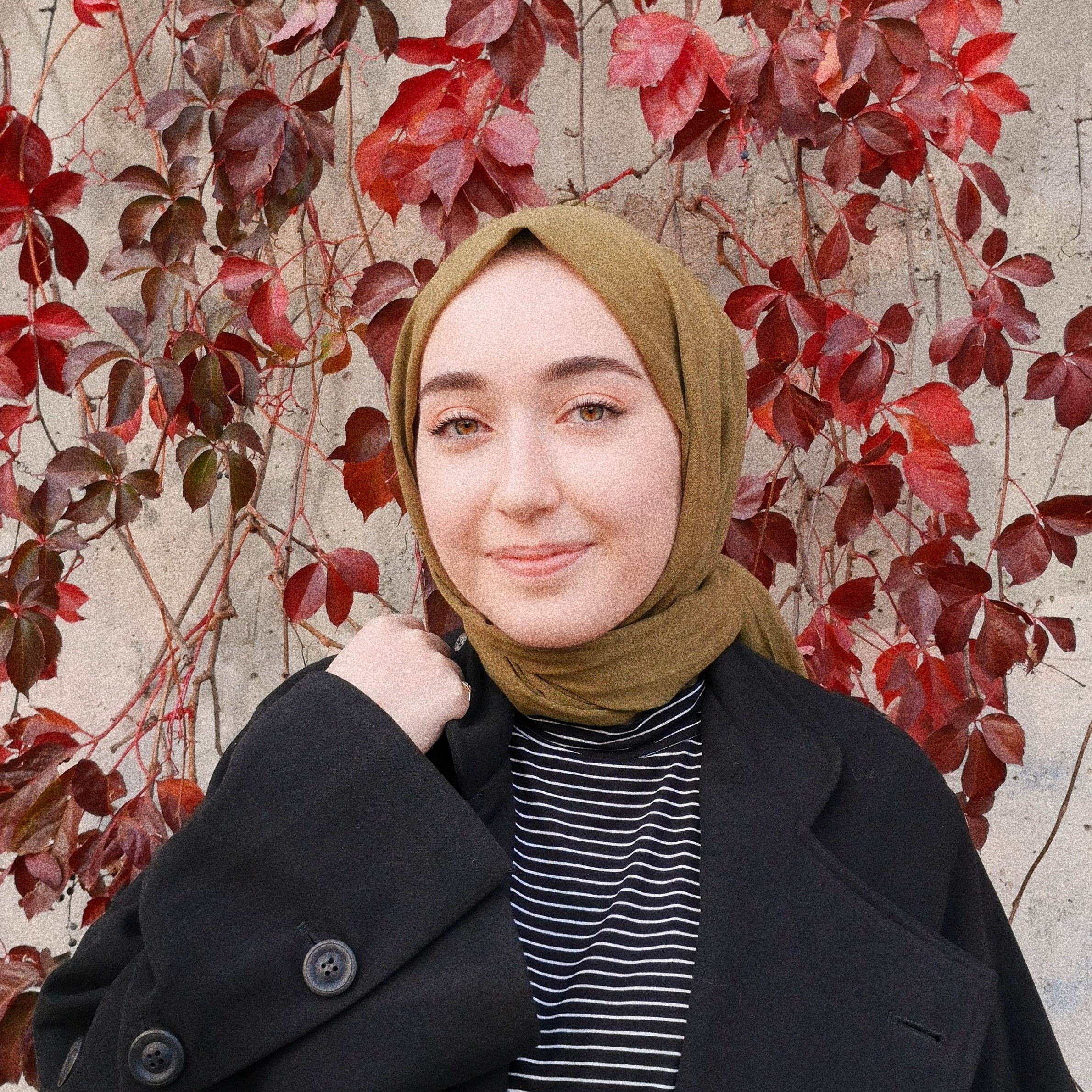 zehra17