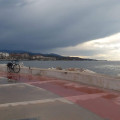 busraguler