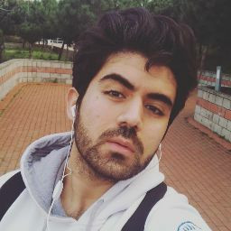 ahmetokanarik