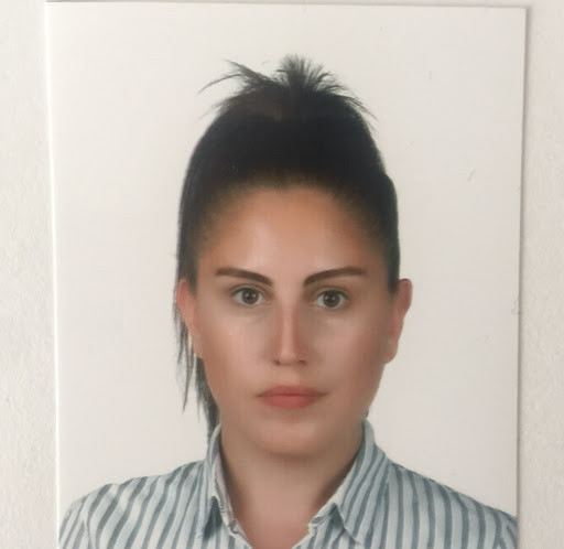 sermintopal