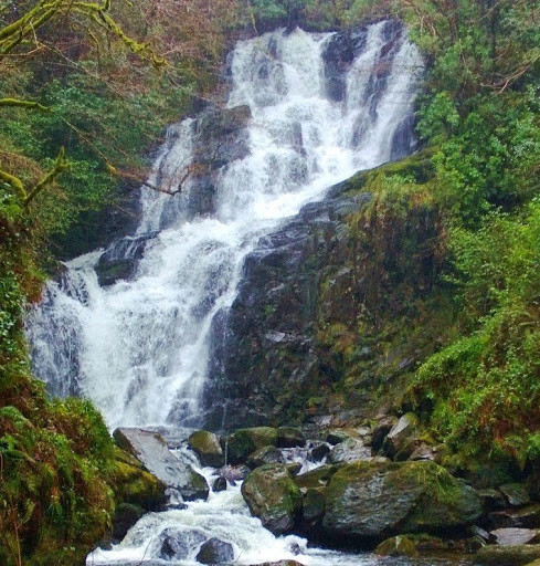 nevzatilhan
