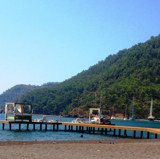 ahmetnozalp