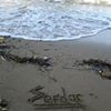 serdarunal