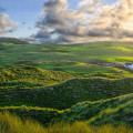 muratkara2