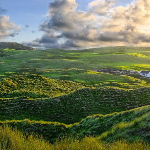 muratkara2