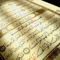 fatihapaydin
