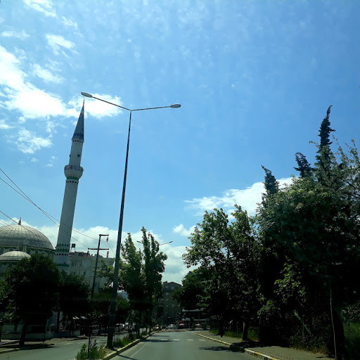 hilalavsar