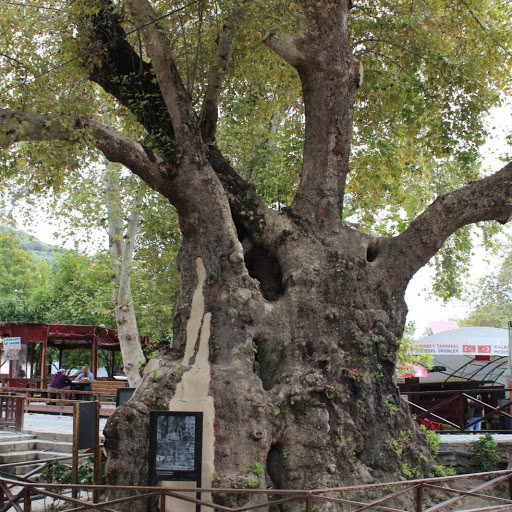 birbilimbilisim
