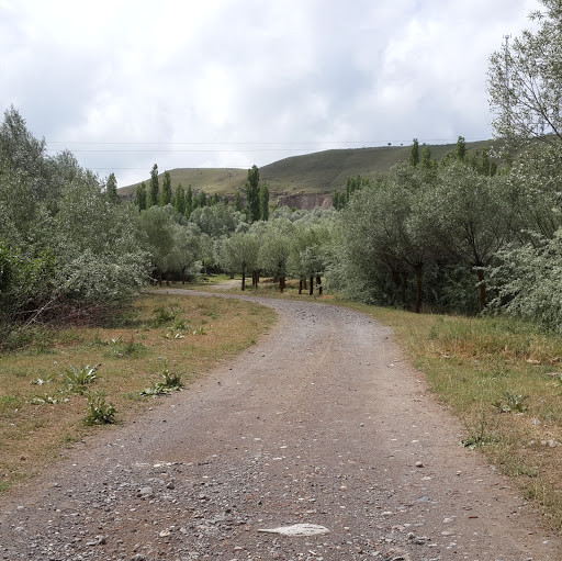 abdurrahmanmutl