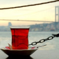 enginaslamaci