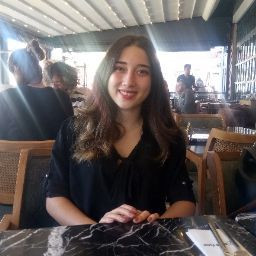 gokceaktug
