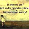 hivinpolat
