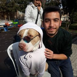 onurhamarat
