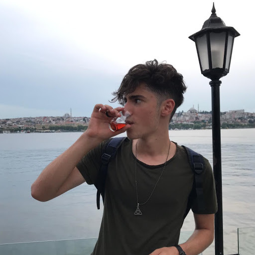 metehanmemisogl