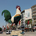 emelozdemir