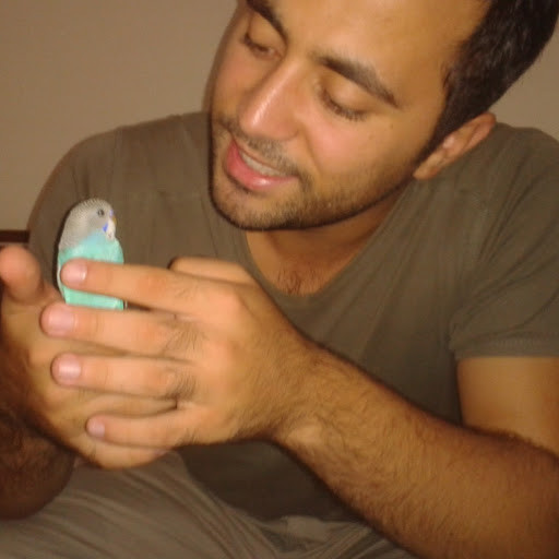 batuhanergin