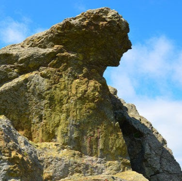 olgunmorkoc
