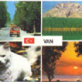 ugurgunduz1