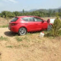alp