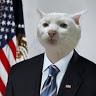 furkansonkaya