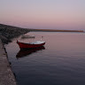 yavuzgunes1