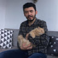 aykutdede