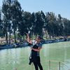 romelfolad