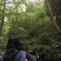 ayseyelizturk