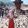 elifbilim