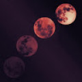 ilknursercek