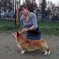 olgadmytrenko