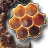 sennurerbas