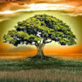 antontopal