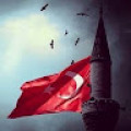 omerciliz
