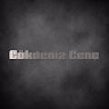 gokdenizgenc1