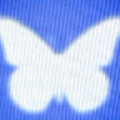 havvanur2
