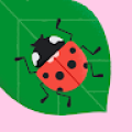 ov
