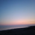 gulsumm