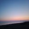 gulsumm