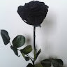 black flower