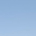 emremert2